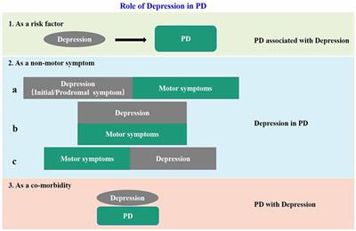 Application of Neurotoxin-Induced Animal Models in the Study of Parkinson’s Disease-Related Depression: Profile and Proposal